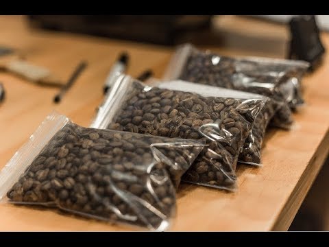 Muestras de café